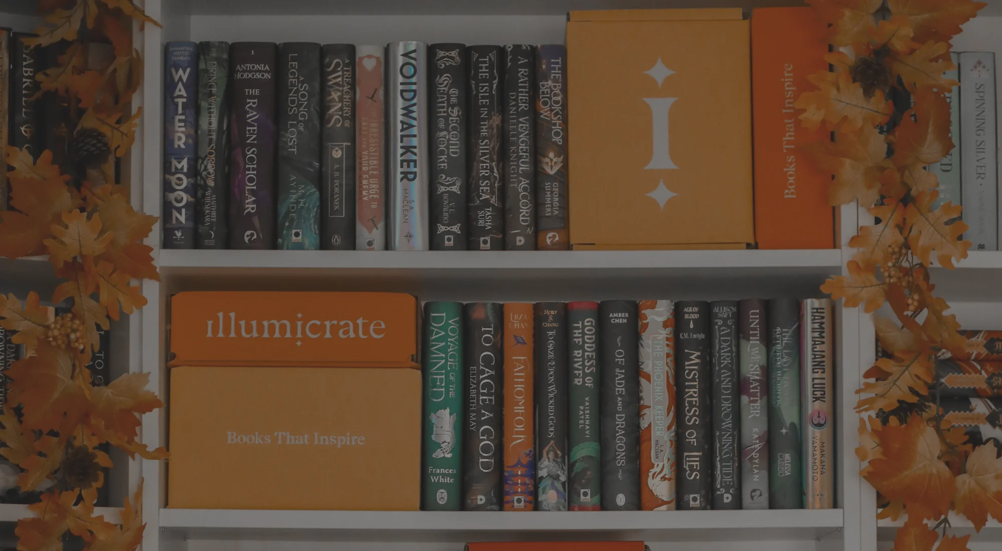 Luminous Style for Every Occasion